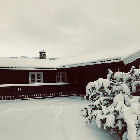 Vestlia Ski Geilo Exterior photo
